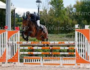 Bisi Pinky One GioCav2013 S5 3051 : Bisi Morgan, Campionati Italiani Giovani Cavalli, Cattolica, Pinky One, ph Stefano Secchi ©